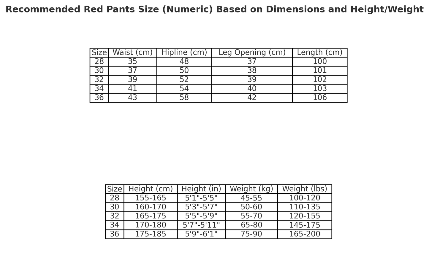 CHROME HEARTS JEANS BLACK GREEN LEOPARD - netstar®
