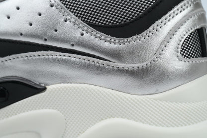 DIOR B22 SILVER BLACK - netstar