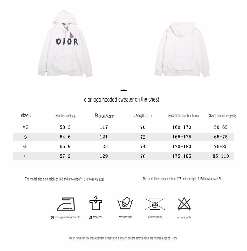 Dior Brushstroke Hoodie - netstar